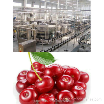 export high-proficency full-automatic cherry processing line